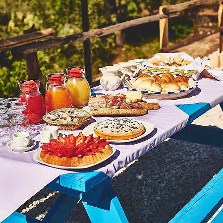 Agroturismo Turismo Rurale Filieri Dorgali
